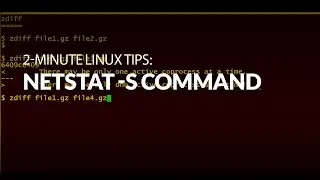 How to use the netstat-s command