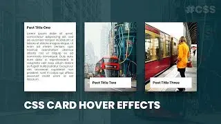 CSS Card Hover Effects | Html CSS