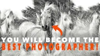How to Become the Best Wildlife Photographer