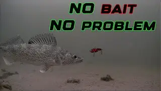 Bait-less Fishing SAVE Money! Catch Fish Easily! ANYONE Can Do This