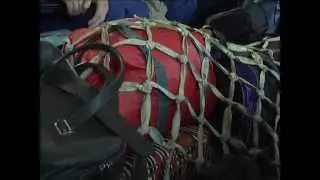 Беды уникального народа   тофы