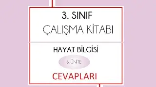 3. Sınıf hayat bilgisi çalışma kitabı 3. ünite cevapları