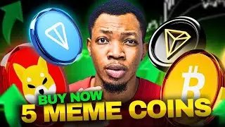 5 Must-have Meme Coins In My Portfolio Right Now