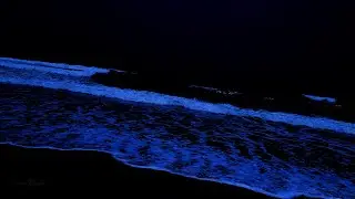 Ocean Sounds For Deep Sleep - Fall Asleep Instantly at Night With Calming Wave Sounds