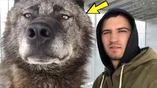 Мужчина спас брошенного щенка! Спустя месяц, он узнал что это вовсе не собака!