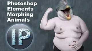 Photoshop Elements 11, 10 Morphing Animals Photoshop Elements Tutorial