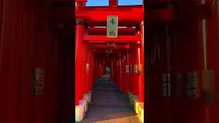 【Japan】 Koizumi Inari Shrine/ 小泉稻荷神杜 There were torii gates of various sizes Ħ