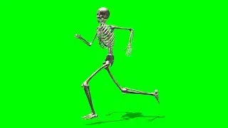 running skeleton green screen - free use