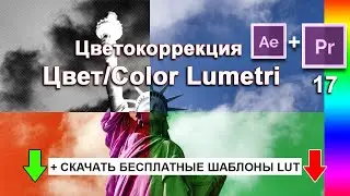 Цветокоррекция 🌈 Коррекция цвета Lumetri  + LUT  Look Lumetri Color Premiere Pro Курс Уроки 17