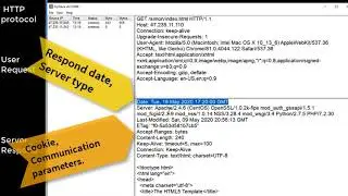 Demonstrate HTTP protocol and how values pass between HTML page and CGI program