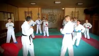 My karate @ by Nevmerzhitsky 3dan