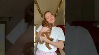 Чем кормить собаку? 🐶 