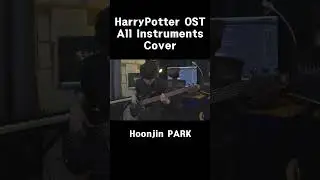 Harry Potter OST All Instruments cover #Shorts