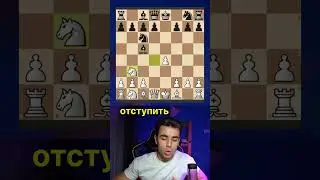 Насколько хороша Шотландская партия в шахматах?! 