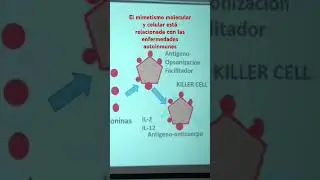 Las enfermedades autoinmunes y el Cáncer están relacionados con el mimetismo molecular y el gen P53