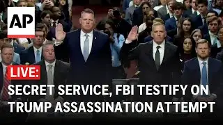 Trump shooting hearing LIVE: FBI, Secret Service testify on assassination attempt