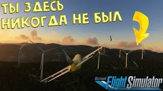 только 1% людей видели это | MFS2020