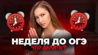 Что делать ПЕРЕД ОГЭ По РУССКОМУ? Как подготовиться БЫСТРО!?