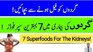 7 Best Foods For Chronic Kidneys Disease In Urdu Hindi - Irfan Azeem