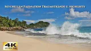 𝐒𝐞𝐲𝐜𝐡𝐞𝐥𝐥𝐞𝐧 𝐅𝐚𝐳𝐢𝐧𝐚𝐭𝐢𝐨𝐧  - 𝐓𝐫𝐚𝐮𝐦𝐬𝐭𝐫ä𝐧𝐝𝐞, 𝐒𝐜𝐡𝐢𝐥𝐝𝐤𝐫ö𝐭𝐞𝐧 𝐮𝐧𝐝 𝐬𝐞𝐡𝐭 𝐬𝐞𝐥𝐛𝐬𝐭! 𝟐. 𝐓𝐞𝐢𝐥