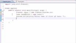 Java Programming Tutorial - 16 - Many Methods and Instances