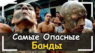 Самые Опасные Банды Всех Времен