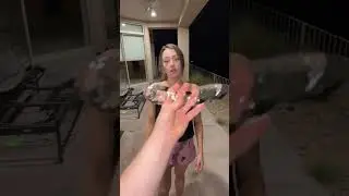 The Ice war continues 