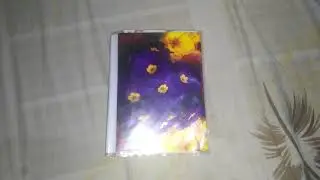 шрек книга читает