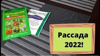 Копеечная подкормка для бешенного роста рассады