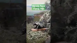💫Потрясающий музей Леса город Уфа 💥
