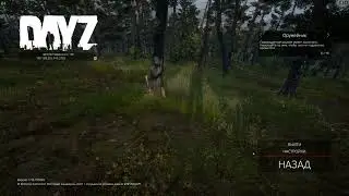 How to fix this problem with DayZ rendering?/Проблема с освещением (рендерингом) в DayZ (1.18)