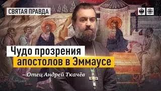 Ученики увидели Христа, но не узнали. Отец Андрей Ткачёв