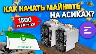 Как Начать Майнить на Асиках в 2024 году? Доходность удивляет! Окупаемость 3 месяца с EMCD!