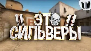 #1 Counter-Strike: GO - !! Это СИЛЬВЕРЫ !!