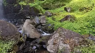 Forest Stream Relaxing Waterfall Sounds With Bird Chirping to relieve stress, yoga and meditation