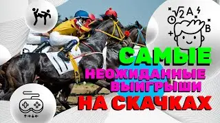 САМЫЕ НЕОЖИДАННЫЕ 🔥 ВЫИГРЫШИ НА СКАЧКАХ 😱 Ставки на СКАЧКИ 💰