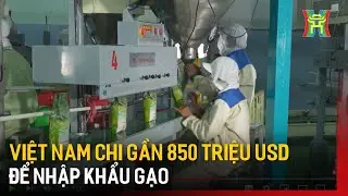 Việt Nam chi gần 850 triệu USD để nhập khẩu gạo | Tin tức