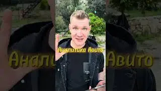 Аналитика авито