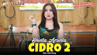 Shinta Arsinta - Cidro 2 | Dangdut (Official Music Video)