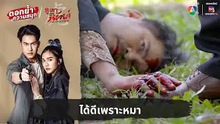 ได้ดีเพราะหมา! | ตอกย้ำความสนุก ภูเขาเงาพยัคฆ์ EP.20