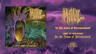 MAUL - In the Jaws of Bereavement (From 'In the Jaws of Bereavement' LP, 2024)