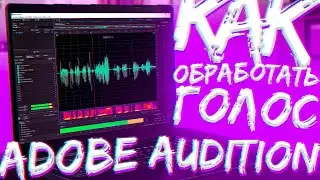 Как ОБРАБОТАТЬ ГОЛОС в ADOBE AUDITION новичку ПОШАГОВО? Как СКАЧАТЬ ADOBE AUDITION CC 2020?