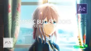 ACE Color Grading and CC Preset Pack (Magic Bullet Looks)