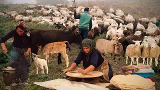 Living Far From Civilization : One Day of the Shepherd | DOCUMENTARY