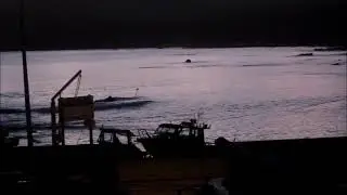 Waihau Bay, dawn launching, marlin fishing, March 9, 2013