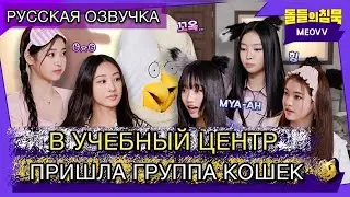 РУССКАЯ ОЗВУЧКА - невозмутимые MEOVV доводят инструктора на шоу молчание айдолов| MEOVV “BODY”
