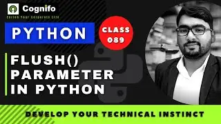 89 flush parameter in Python