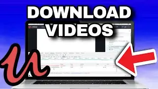 How To Download Videos On Udemy (2024)