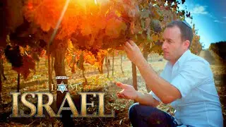 Vineyards of Judea and Samaria - I AM ISRAEL Movie Clip