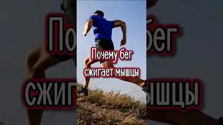 Почему бег сжигает мышцы